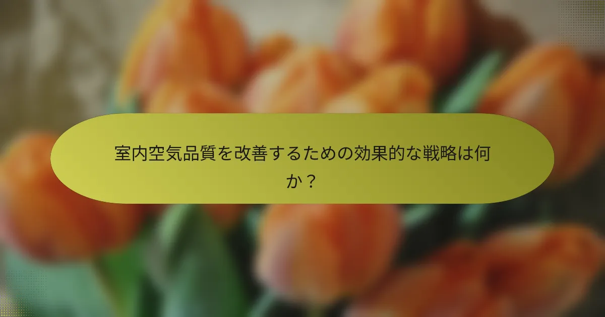 室内空気品質を改善するための効果的な戦略は何か？